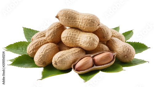 Canvastavla Pile of unshelled peanuts with one open pod revealing kernels, isolated on trans