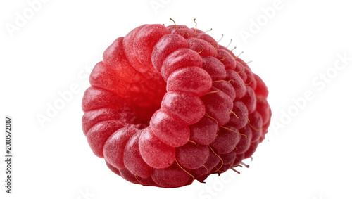 Schilderij op canvas Ripe juicy red raspberry with tiny green stem and calyx