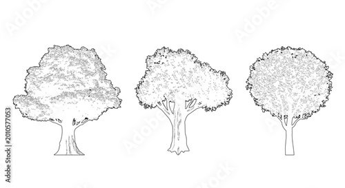 CAD Tree Vector Collection Architectural Trees Elevation and Plan View for Landscape Architecture AutoCAD Drawing Tree Blocks