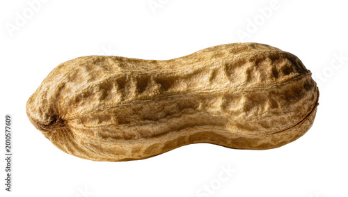 Foto Whole peanut in shell with textured brown surface, isolated on transparent backg
