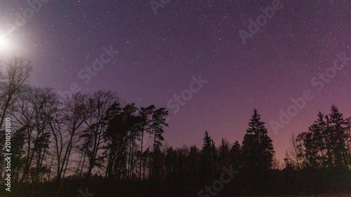 Night timelapse with moon and polar lights over forest. Landscape timelapse