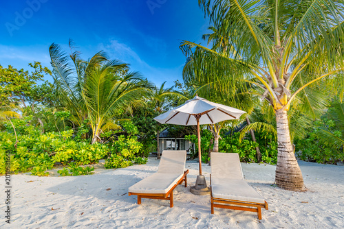 Foto Sunny beach sunbeds umbrella palm trees relax nature outdoors summer vacation tr