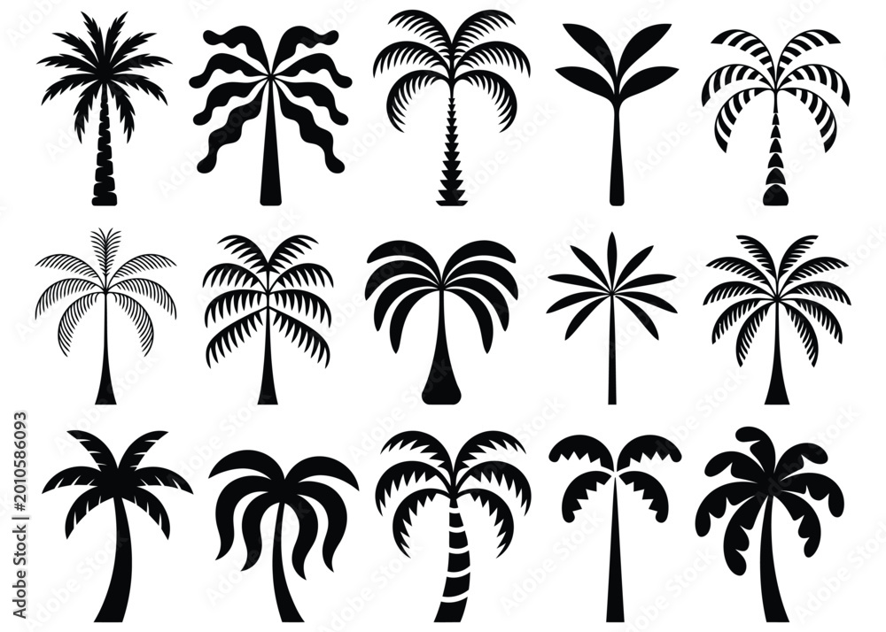 Fototapeta premium High quality vector of set of black silhouette palm trees, different shapes and styles.