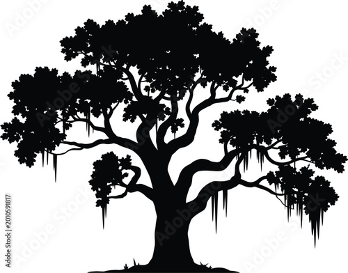 Fényképezés Live oak tree, silhouette illustration, detailed vector artwork of oak tree with Spanish moss representing nature landscape and botanical illustration concept