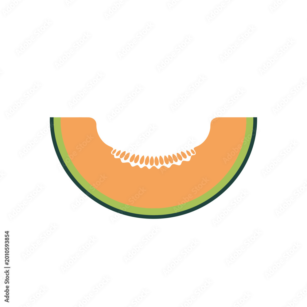 Fototapeta premium Fresh cantaloupe melon slice isolated on white background.