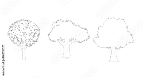 CAD Architectural Trees Vector Set Elevation View and Plan View for Landscape Architecture Drawing AutoCAD Blocks Collection