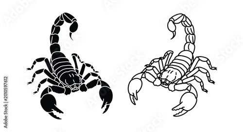 Tableau sur toile Two scorpions in detailed black silhouette high quality professional modern eleg
