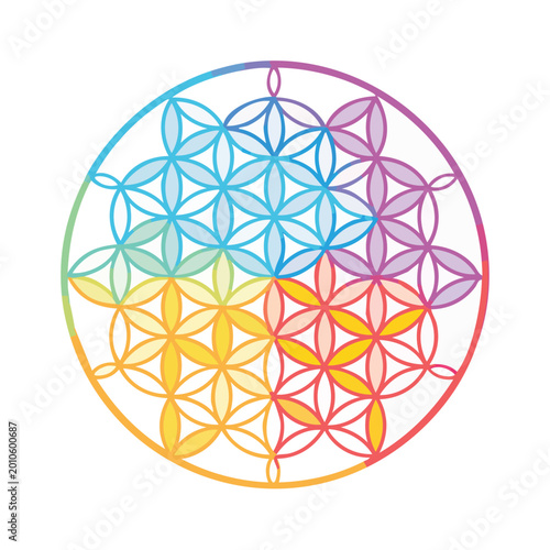 Colorful geometric flower of life design on white background vector art