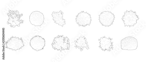 Foto CAD Shrubs and Bushes Vector Collection Architectural Plants Elevation View for