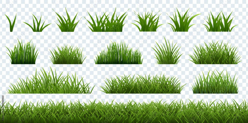 Obraz premium Big Grass Borders Set Isolated Transparent Background