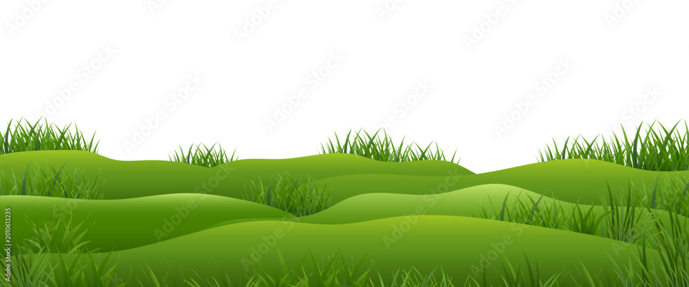 Fototapeta premium green grass and hills isolated white backgrpund