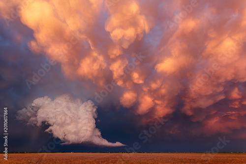 Mammatus clouds at sunset