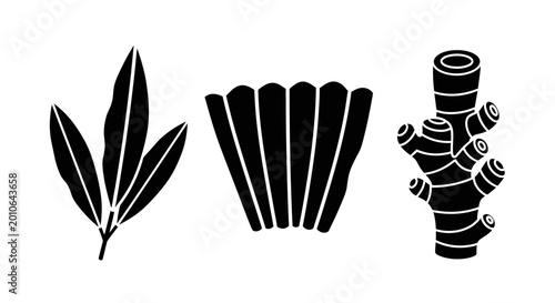 Black and white silhouette of ginger root, star anise and bay leaves