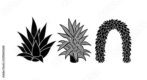 Black and White Vector Graphics of Three Different Plants and Archway