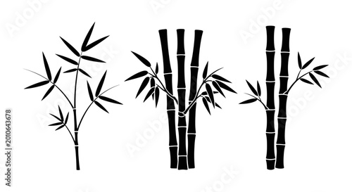 Black Bamboo Silhouette Collection: Stalks and Leaves