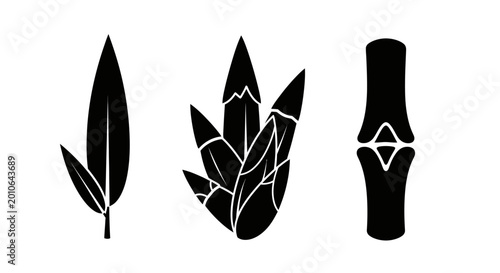 Black Bamboo Leaf and Stem Silhouettes Isolated on White Background