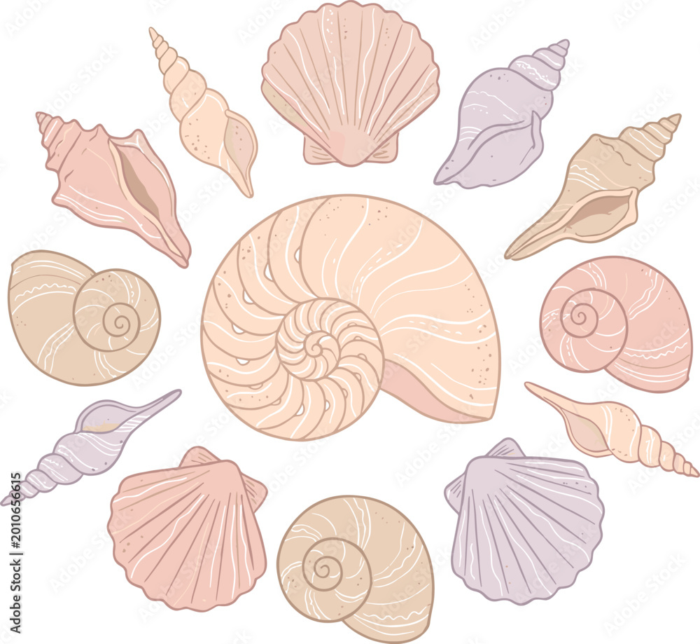 Fototapeta premium Hand-drawn Pastel Seashells and Nautical Elements Vector Set for Coastal, Beach, and Ocean Design Elements