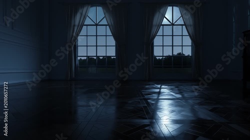 3d Animation of a classic spacious living room with paneling walls and versailles parquet in the moonlight