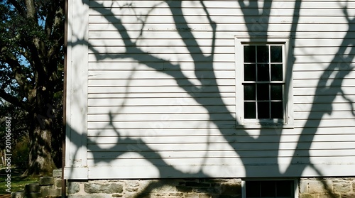 Tree shadow cast on white wooden house siding with window creating natural patterns and textures on exterior wall during sunny day.