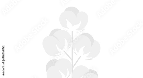 Foto Soft Cotton Plant Branch with Bolls on White Background, Minimalist Style