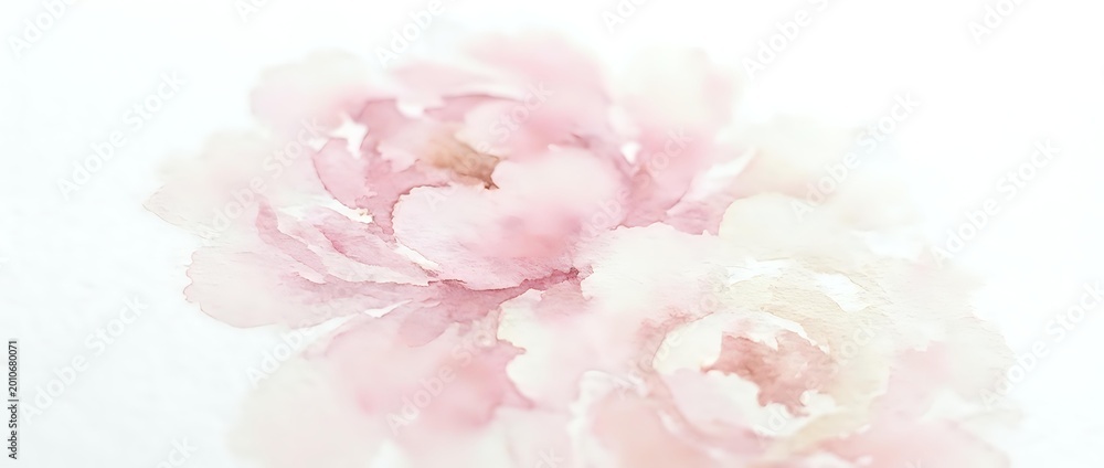 Fototapeta premium Soft pink watercolor peony flowers blooming on white background for wedding invitations, feminine branding, and romantic design projects.