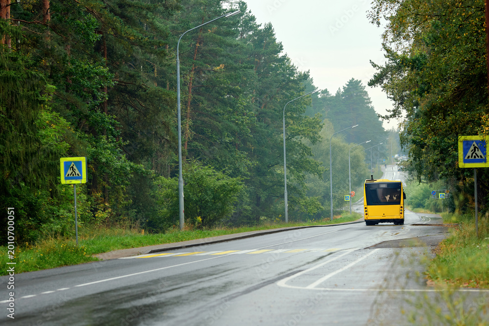 Fototapeta premium Yellow public transport bus drives along wet asphalt road passing through green forest with tall pine trees and pedestrian crossing signs under an overcast sky. Suburban passenger bus traveling away