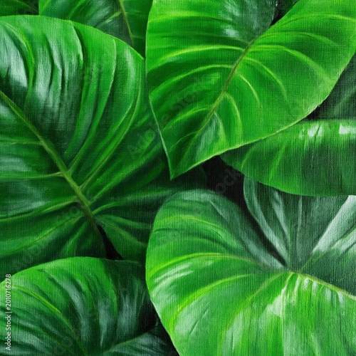 Green Leaves Fill the Space in a Bright and Sunny Setting Surrounded by Nature