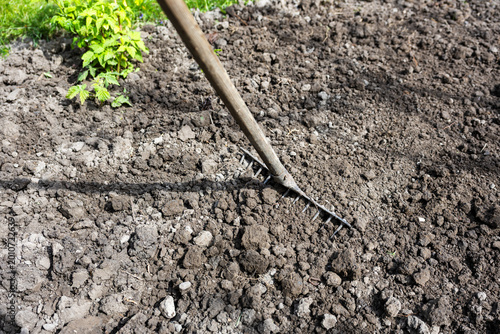 Konstfotografi Garden rake loosening soil in garden bed