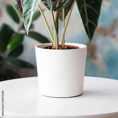 Two White Chairs With a Small Table and a Plant in a Modern Room Interior Design