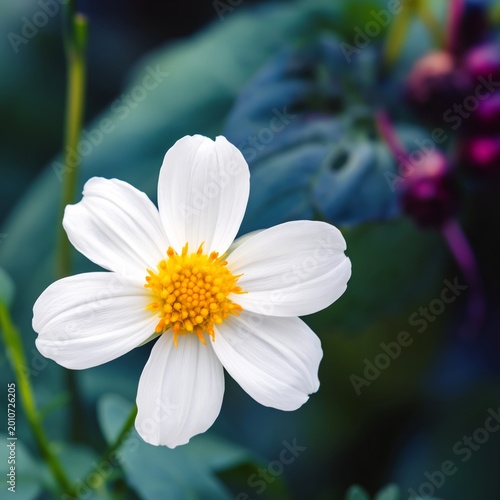 White Flower Blooms in a Garden Surrounded by Green Leaves and Berries in the...