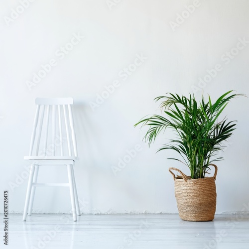White Chair and Potted Plant Against Plain Wall in Modern Indoor Space