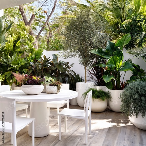 Plants in White Pots and a Small Table in a Garden Setting With Natural Stone...