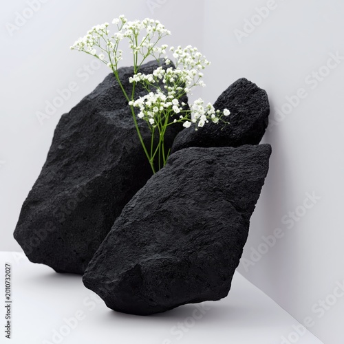 Display of Black Stones With White Flowers Arranged in a Simple Setup in a Mo...