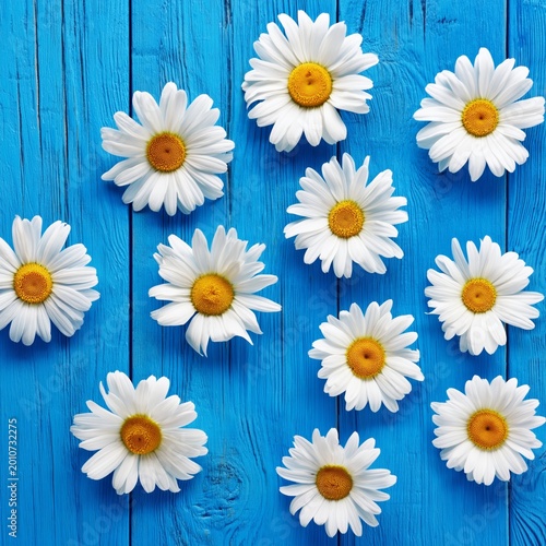 Daisies Arranged on a Blue Wooden Table Create a Colorful Display