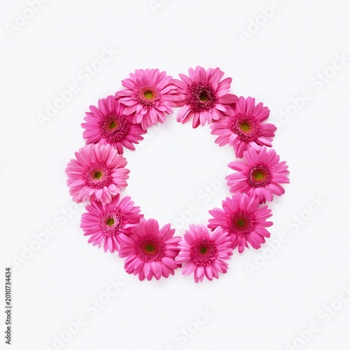 Bright Pink Flowers Arranged in a Circular Pattern on a White Background in a...