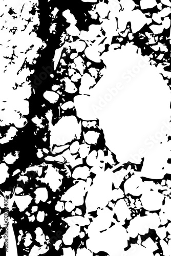 Asphalt surface overlay with scattered stones, leaf fragments and rough organic debris. Urban ground texture effect for gritty outdoor compositions and layered design work.