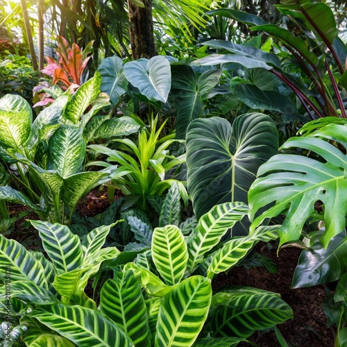 Lush Green Plants in a Tropical Garden During the Daytime With Sunlight Filte...
