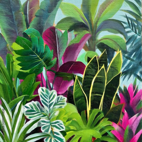 Lush Green Plants in a Vibrant Space With Tropical Foliage in a Garden Setting