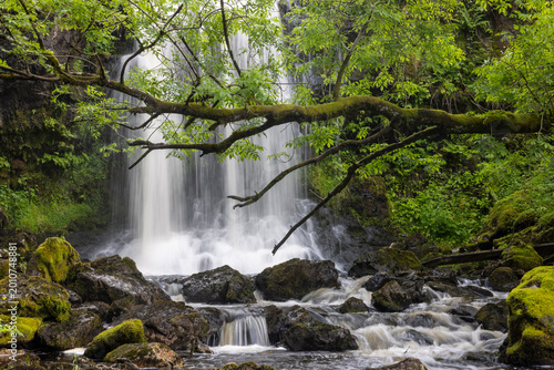 Tableau sur toile waterfall with tree hanging over rocks with moss