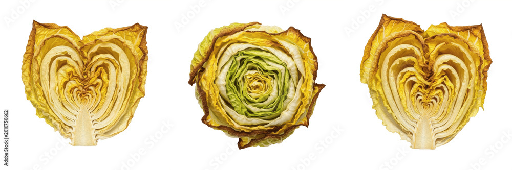 Obraz premium Set of Fresh Green Cabbage Heads Isolated on White Background, PNG