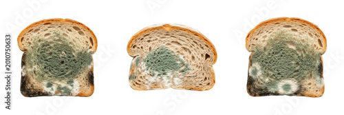 Foto Set of Rotten Moldy Sliced Bread Isolated on White Background, PNG