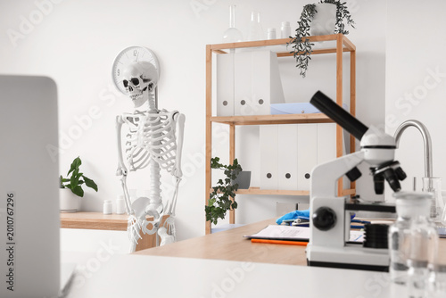 Human skeleton model near s...