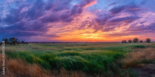 Vibrant sunset over green landscape.