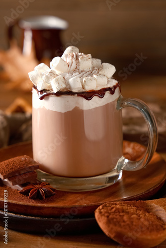 Glass cup of hot cocoa drin...