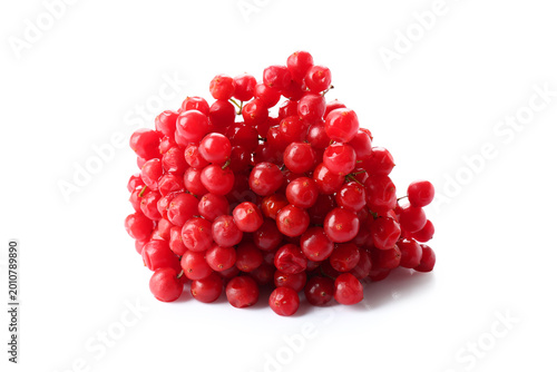 Cuadro en lienzo Bunch of fresh viburnum berries on white background