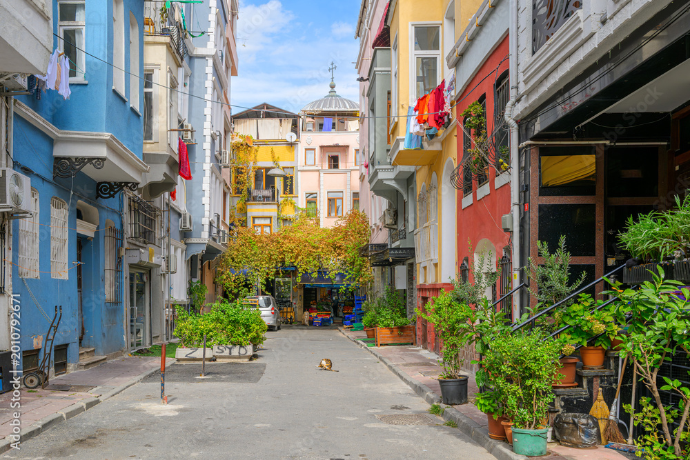 Fototapeta premium A calico cat bathes himself in the middle of the street in the Balat district of Istanbul, Turkey, known for its colorful old houses and cozy neighborhood atmosphere.&nbsp;