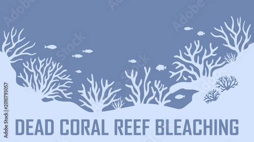 Cuadro en lienzo Dead Coral Reef Bleaching Underwater View