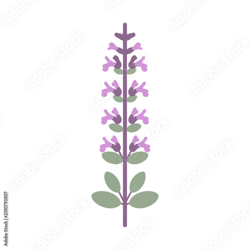Illustration of a flowering lavender sprig with green leaves. Vector Icon. EPS Editable