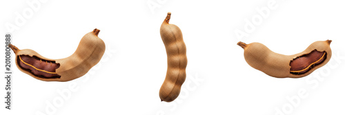 Fresh Single Tamarind Fruit Pod Isolated on White Background, PNG