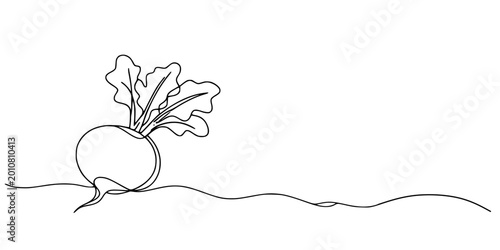 Принти на полотні Radish Outline: A simple, elegant outline of a radish, highlighting its form and essential features in a minimalist style